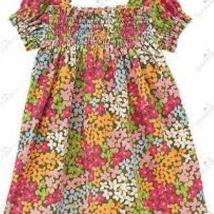 Gymboree Y2K Era 2008 Floral Smocked Cap Sleeve Baby Dress 6-12M